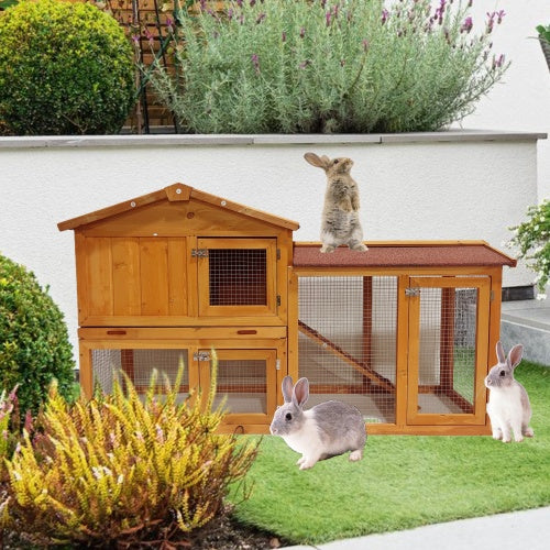 Powerful Playground Chicken Coop